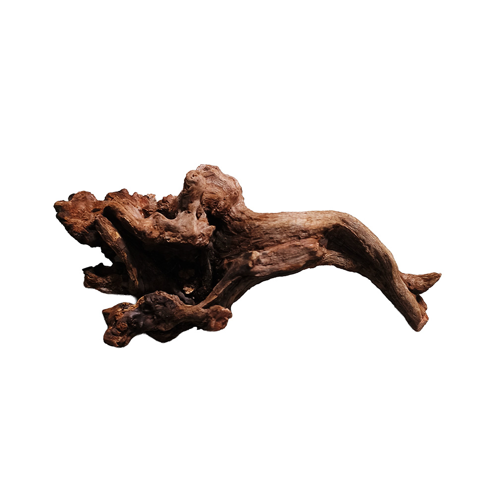 Korzeń Drift Wood Naturalna Ozdoba Dekoracja do Akwarium M 15-30cm